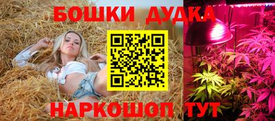 бошки Ливны