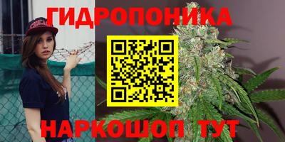 бошки Ливны